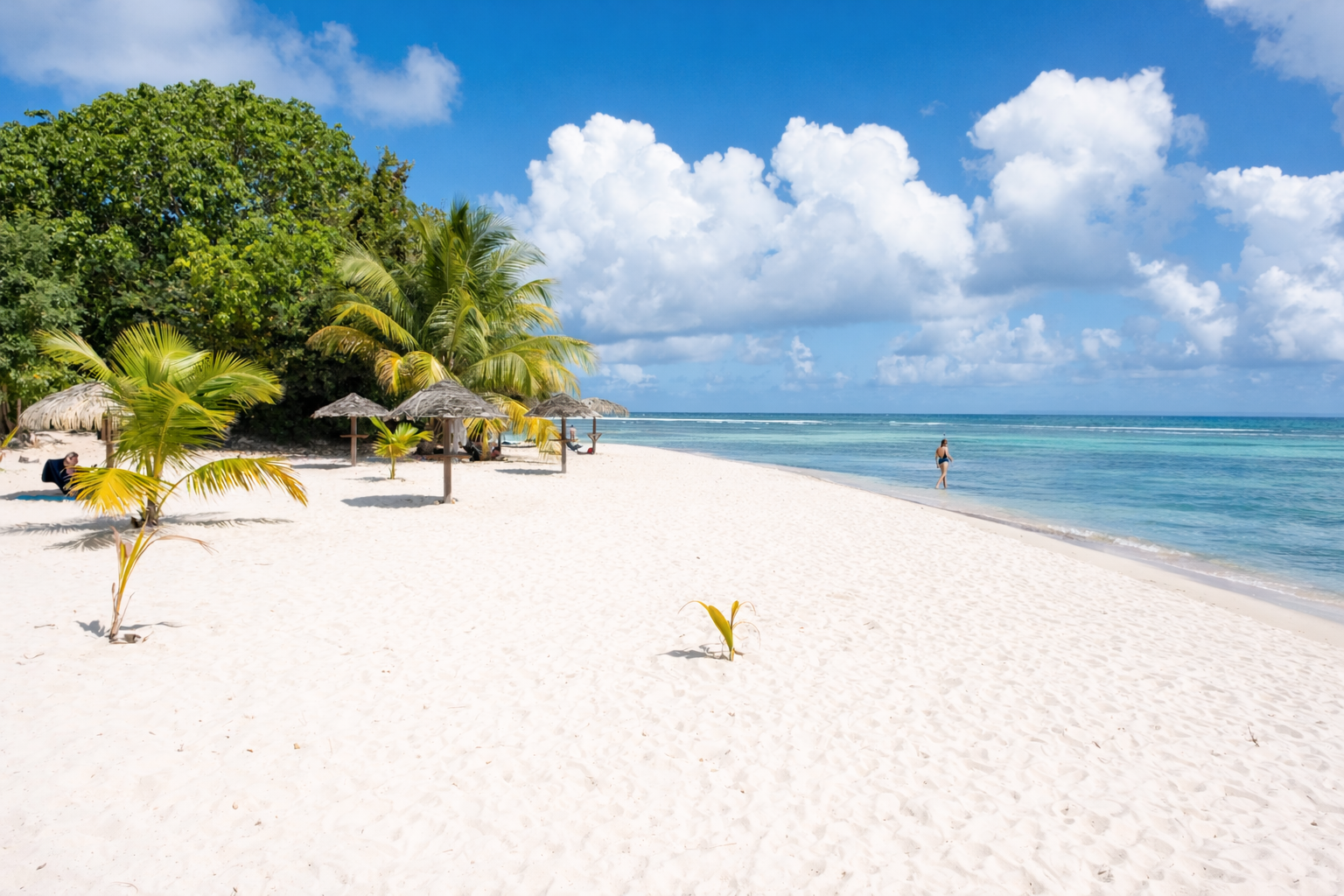 Plage tropicale Anse des Rochers